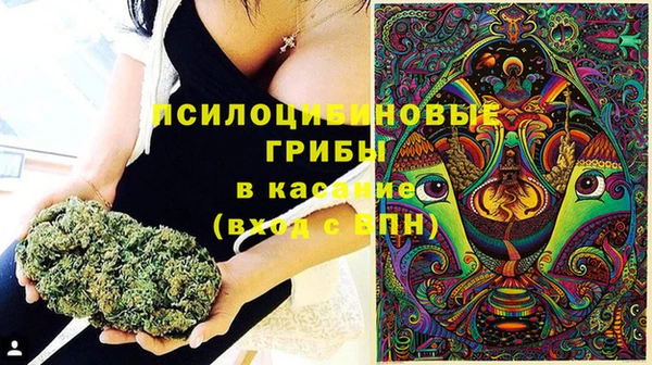 ECSTASY Белоозёрский